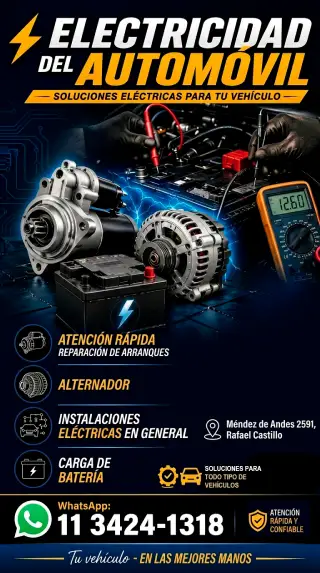 Electricidad del Automovil en Rafael